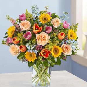 Spring Sensation